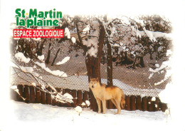 42 PARC ZOOLOGIQUE SAINT MARTIN LA PLAINE - Other & Unclassified