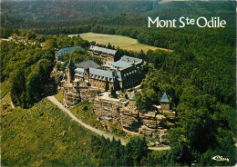 67 MONT SAINTE ODILE - Sainte Odile