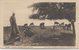 E310 EGYPTE CAIRO A NATIVE SHEPHERD NEAR THE NILE  LE CAIRE NIL - Le Caire