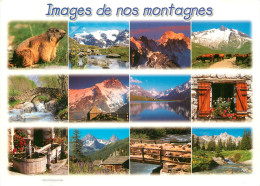 74 IMAGES DE NOS MONTAGNES - Autres & Non Classés