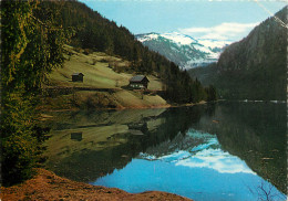 74 MORZINE LAC  DE MONTRIOND - Morzine