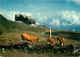 73 DOMAINE DE LA GRANDE PLAGNE  - Sonstige & Ohne Zuordnung