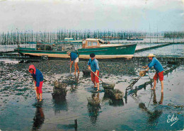 Metiers - Ostréiculteur - Bassin D'Arcachon - Travaux Ostréicoles - Le Ramassage Des Huîtres Dans Les Parcs De Culture - - Fishing