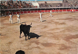 Corrida - Scène De La Vie De Camargue - Dans L'arène, Jeux De La Cocarde - Flamme Postale De Martigues - Etat Pli Visibl - Stierkampf