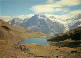 Suisse - BE Berne - Bachsee 2265 M - Lac De Montagne - CPM - Carte Neuve - Voir Scans Recto-Verso - Sonstige & Ohne Zuordnung