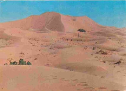 Maroc - Zagora - Sable - CPM - Voir Scans Recto-Verso - Autres & Non Classés