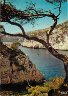 13 - Sugiton - La Calanque De Sugiton - Carte Neuve - CPM - Voir Scans Recto-Verso - Quartiers Sud, Mazargues, Bonneveine, Pointe Rouge, Calanques,