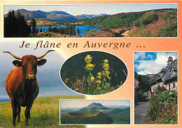 Animaux - Vaches - Auvergne - Multivues - CPM - Voir Scans Recto-Verso - Vaches