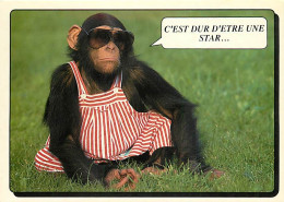 Animaux - Singes - Chimpanzé - Carte à Message - Editions Lyna Paris - Carte Neuve - CPM - Voir Scans Recto-Verso - Monkeys