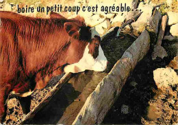 Animaux - Vaches - Carte Humoristique - Abreuvoir - Flamme Postale - CPM - Voir Scans Recto-Verso - Vaches