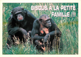 Animaux - Singes - Chimpanzé - Carte à Message - Bébé  - Carte Neuve - CPM - Voir Scans Recto-Verso - Singes