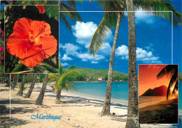Martinique - Multivues - CPM - Voir Scans Recto-Verso - Autres & Non Classés