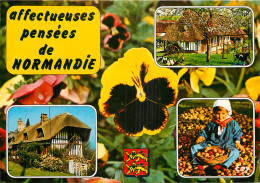 76 PENSEES NORMANDIE - Other & Unclassified