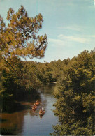 France Paysage Des Landes - Other & Unclassified