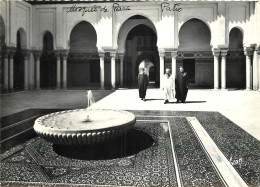 75 PARIS INSTITUT MUSULMAN MOSQUEE DE PARIS - Andere Monumenten, Gebouwen