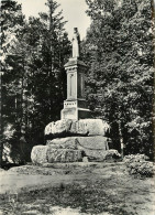 89 ABBAYE SAINT MARIE DE LA  PIERRE QUI VIRE LA VIERGE  - Sonstige & Ohne Zuordnung