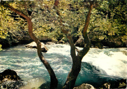 84 FONTAINE DE VAUCLUSE - Otros & Sin Clasificación