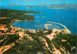 83 ILE DE PORQUEROLLES - Porquerolles