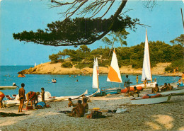 83 ILE DE PORQUEROLLES - Porquerolles