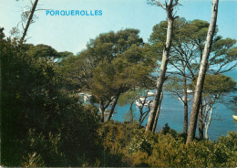 83 ILE DE PORQUEROLLES - Porquerolles