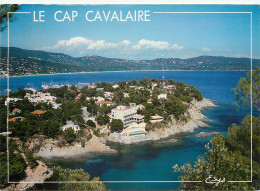 83 CAVALAIRE SUR MER - Cavalaire-sur-Mer