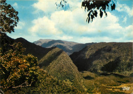 LA REUNION SALAZIE - Sonstige & Ohne Zuordnung