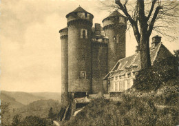 15 CHÂTEAU D'ANJONY TOURNEMIRE LE CANTAL PITTORESQUE  - Other & Unclassified