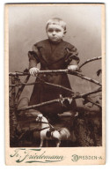 Fotografie Tr., Friedemann, Dresden-A., Rosenstr. 48, Angespanntes Kind In Dunklem Mantel Mit Pferd  - Personnes Anonymes