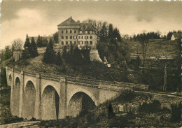 15 CHÂTEAU ET VIADUC DE VIESCAMP LE CANTAL PITTORESQUE  - Other & Unclassified