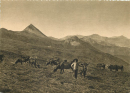 15 UNE VACHERIE LE CANTAL PITTORESQUE  - Autres & Non Classés