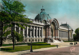 75 PARIS ET SES MERVEILLES LE PETIT PALAIS - Andere Monumenten, Gebouwen