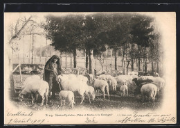 CPA Hautes-Pyrénées, Pátre Et Brebis à La Montagné  - Unclassified