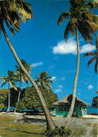 TAHITI VILLAGE DE TIPUATA - Polynésie Française