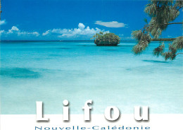 NOUVELLE CALEDONIE LIFOU - Nouvelle Calédonie