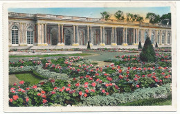 CPSM 9 X 14 Yvelines VERSAILLES Palais Du Grand Trianon  Les Parterres - Versailles