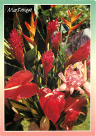 MARTINIQUE FLEURS DES TROPIQUES - Andere & Zonder Classificatie