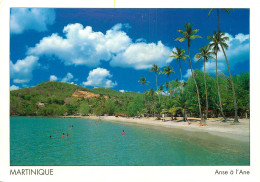 MARTINIQUE ANSE A L'ANE - Andere & Zonder Classificatie