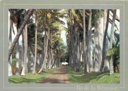 ILE DE LA REUNION PROPRIETE SAINTE MARIE - Altri & Non Classificati