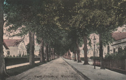 Varel  Gel. 1916  Windallee - Varel