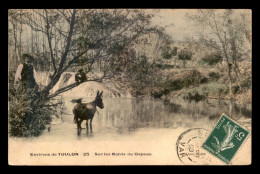 83 - LES BORDS DU GAPEAU - ANE - Autres & Non Classés