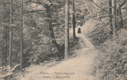 Dresden - Pillnitz, Friedrichsgrund, Gel. 1915, Ruine Meixmühle - Pillnitz