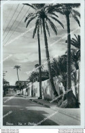 Cf187 Cartolina Ex Colonie Derna Via 17 Ottobre Libia 1939 - Sonstige & Ohne Zuordnung
