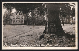 AK Friedrichroda I. Thür., Gasthaus Zur Tanzbuche Von Der Strasse Betrachtet  - Friedrichroda