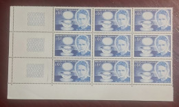 France  Bloc De 9 Timbres  Neuf**  YV N° 1533 Marie Curie - Mint/Hinged