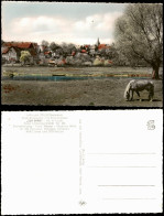 Ansichtskarte Bodenwerder-Polle Stadt Und Pferd 1965 - Autres & Non Classés