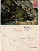 ARGENTINA 1909  POSTCARD SENT FROM SAN JUAN TO SEINE - Covers & Documents