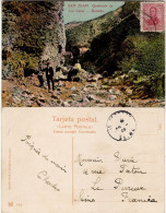 ARGENTINA 1909  POSTCARD SENT FROM SAN JUAN TO SEINE - Covers & Documents