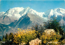 74 MASSIF DU MONT BLANC DEPUIS BETTEX - Autres & Non Classés