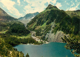 65 LAC DES PYRENEES  - Other & Unclassified