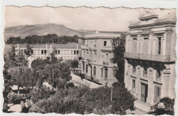 AUMALE (Algérie) -Mairie & Nouveaux Logements - 9x14 Dentelée Glacée - Ed.A. Sirecky à Oran. N°34 - Autres & Non Classés